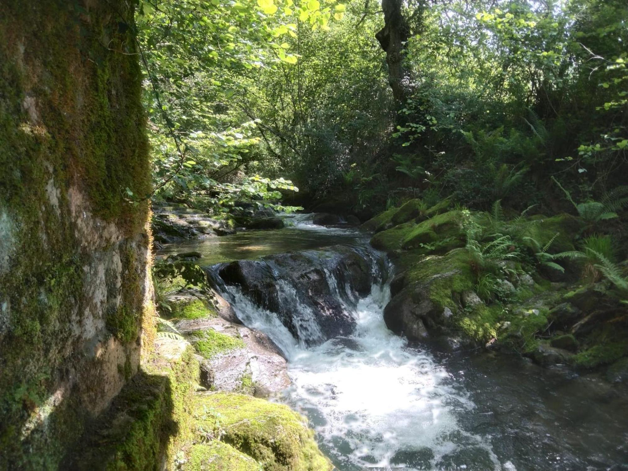 Selaya Casa Rural Los Riveros De Jeromo מראה חיצוני תמונה